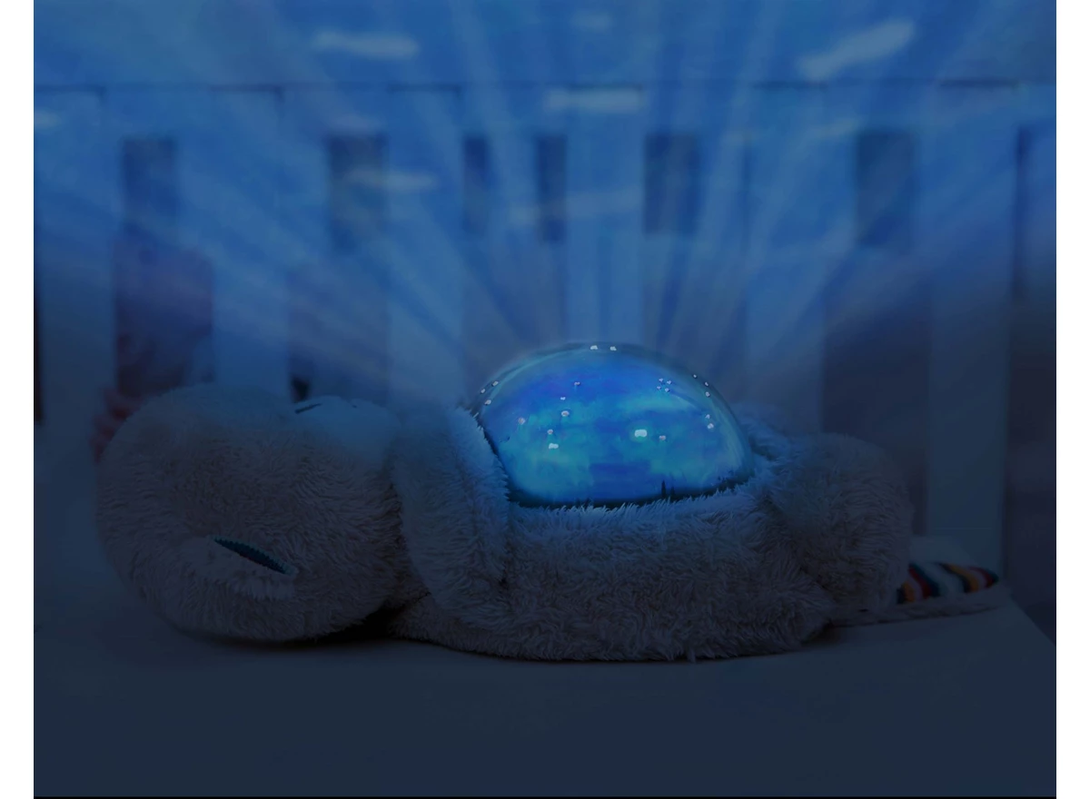 Otto-Ocean-Projector