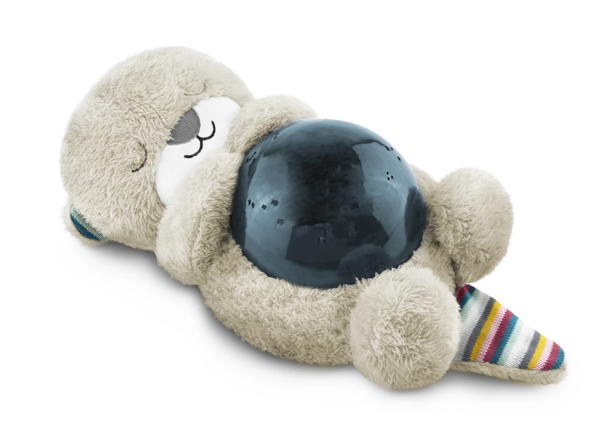 Otto-Ocean-Projector