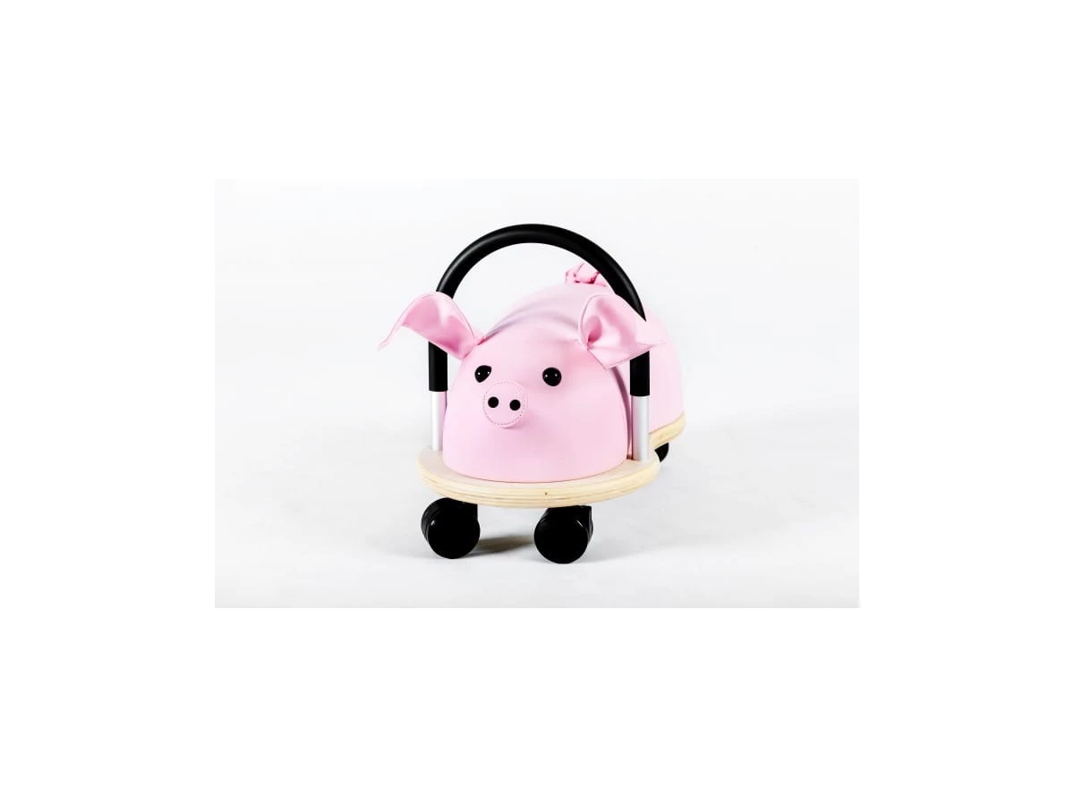 Pig-TU-Small-1-3-j