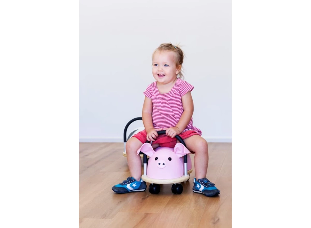 Pig-TU-Small-1-3-j
