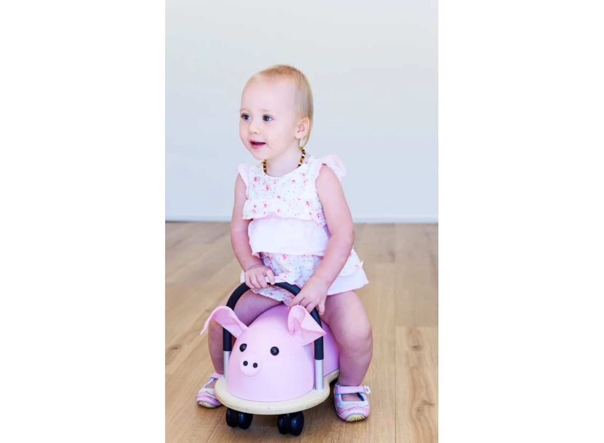 Pig-TU-Small-1-3-j