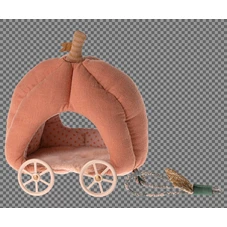 Pompoen-Wagen-Muis