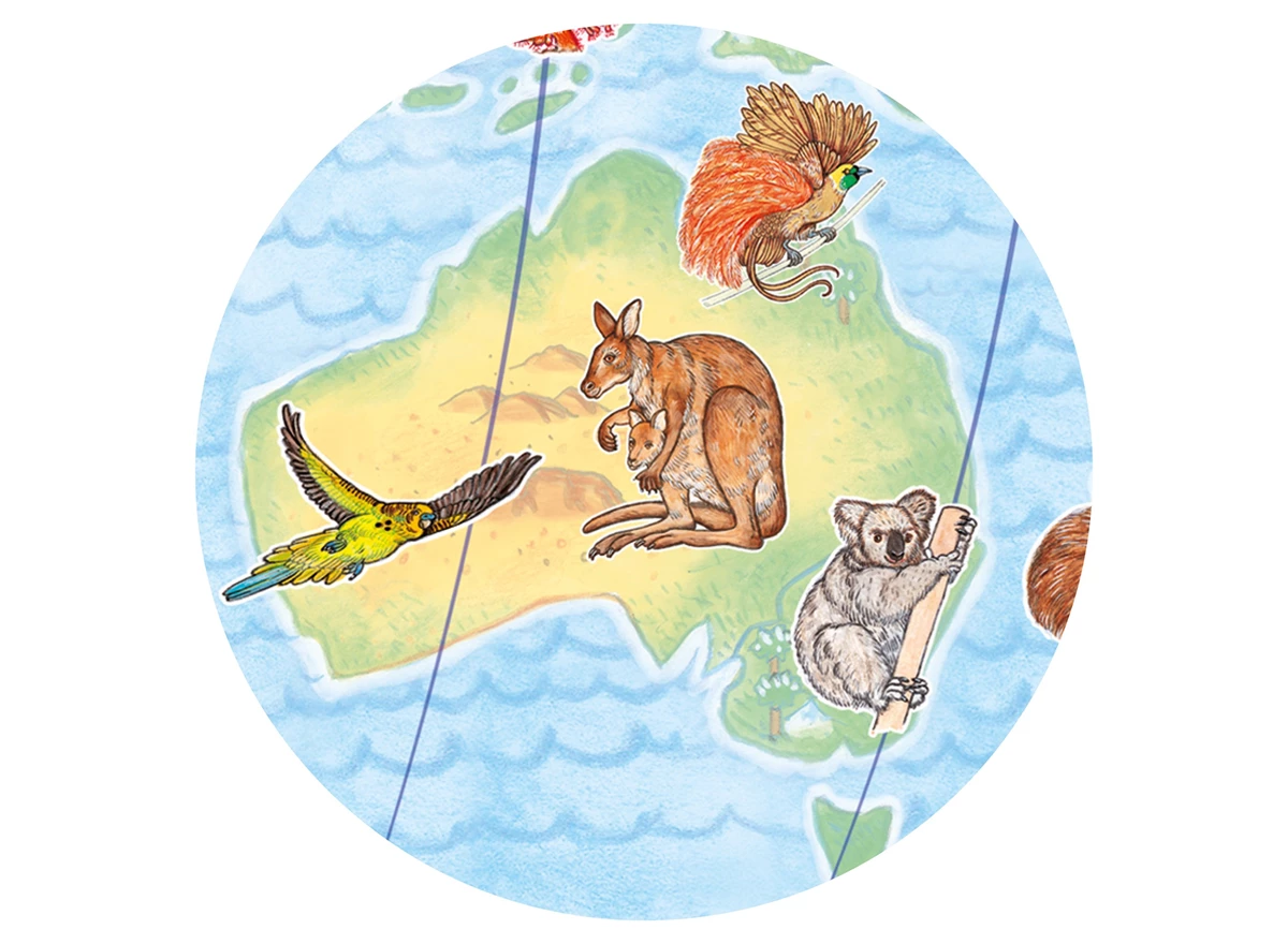 Puzzel-Observation-100st-Dieren-over-de-wereld