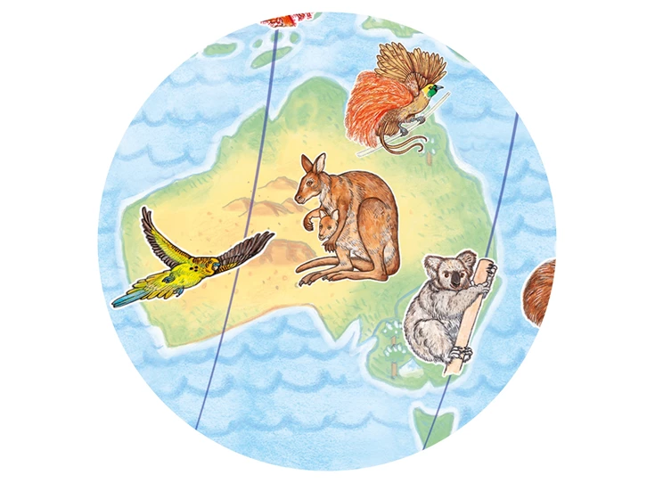 Puzzel-Observation-100st-Dieren-over-de-wereld