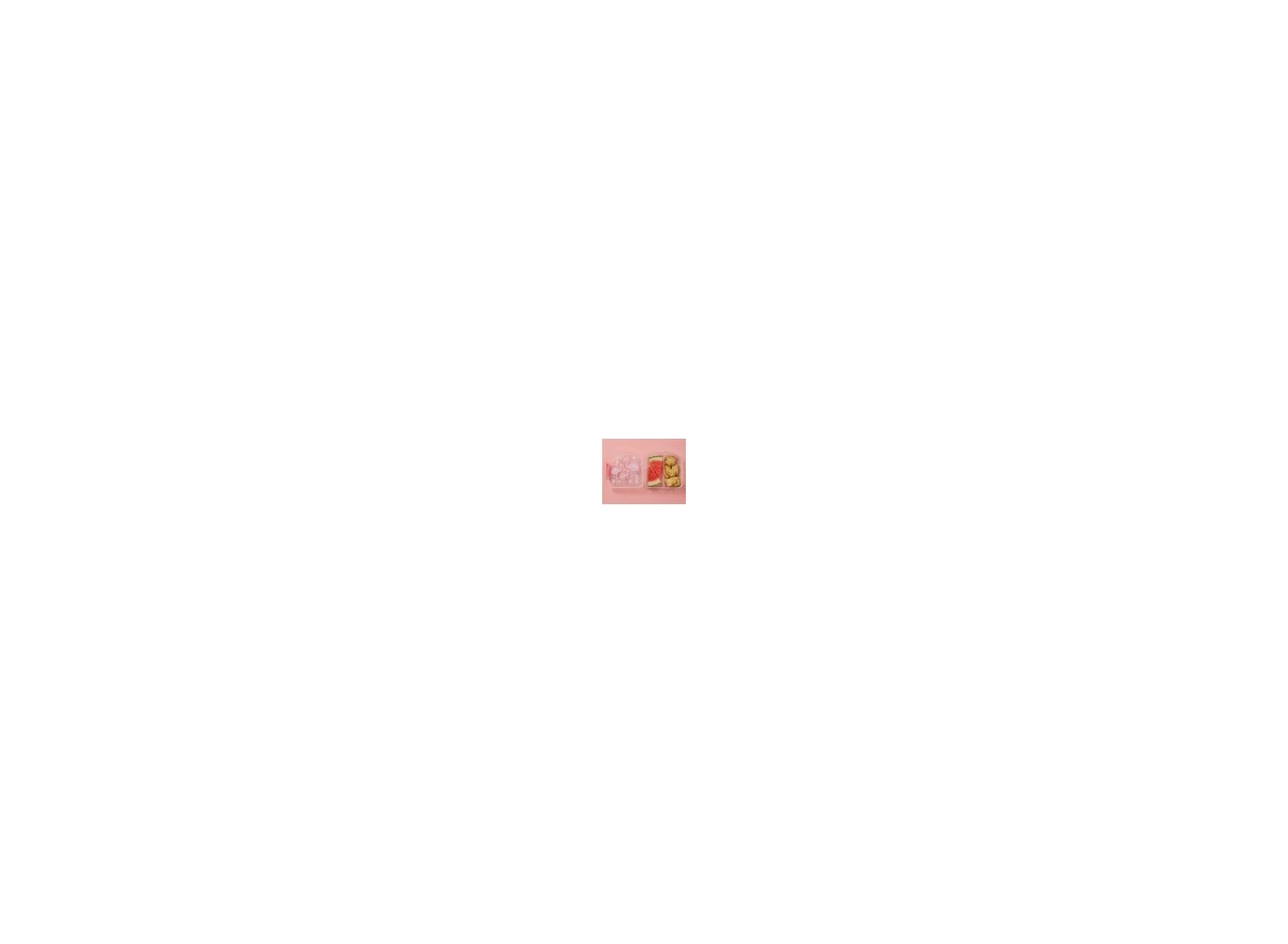 Sandwich-Box-Flamingo