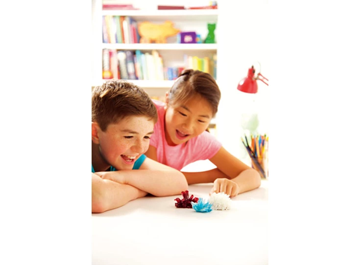 Science-in-Action-Crystal-Growing-3-kleuren-gemengd
