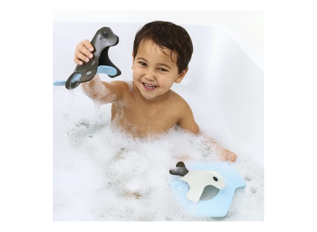 Seal-Island-Bath-Puzzle