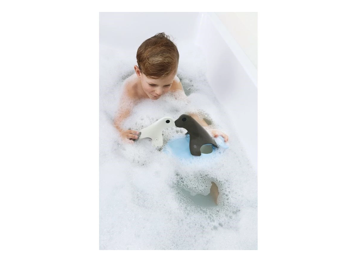 Seal-Island-Bath-Puzzle