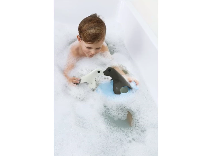 Seal-Island-Bath-Puzzle