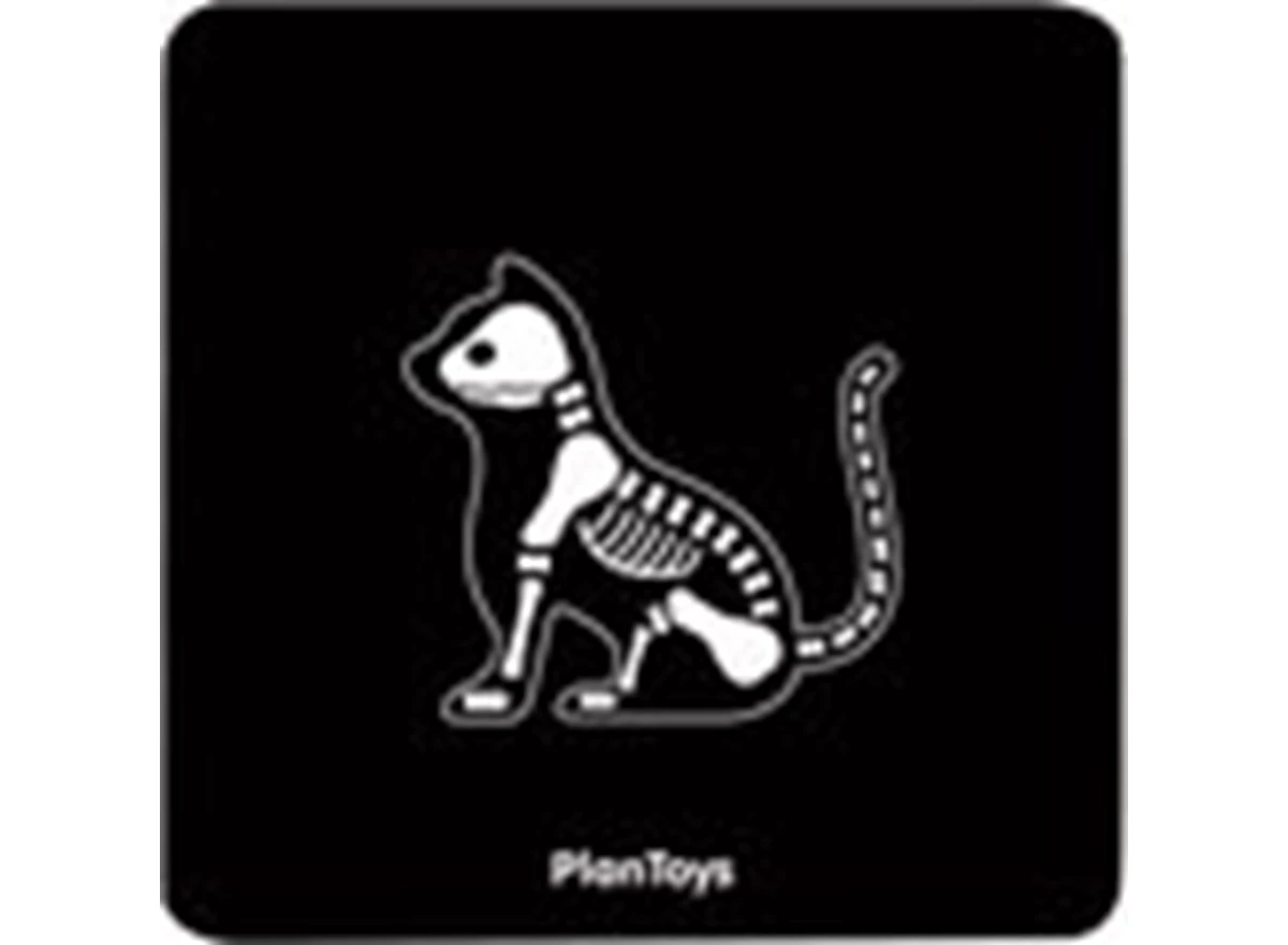 Set-Dierenarts