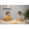 Silicone-plate-Mr-Lion