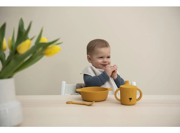 Silicone-sippy-cup-Mr-Lion