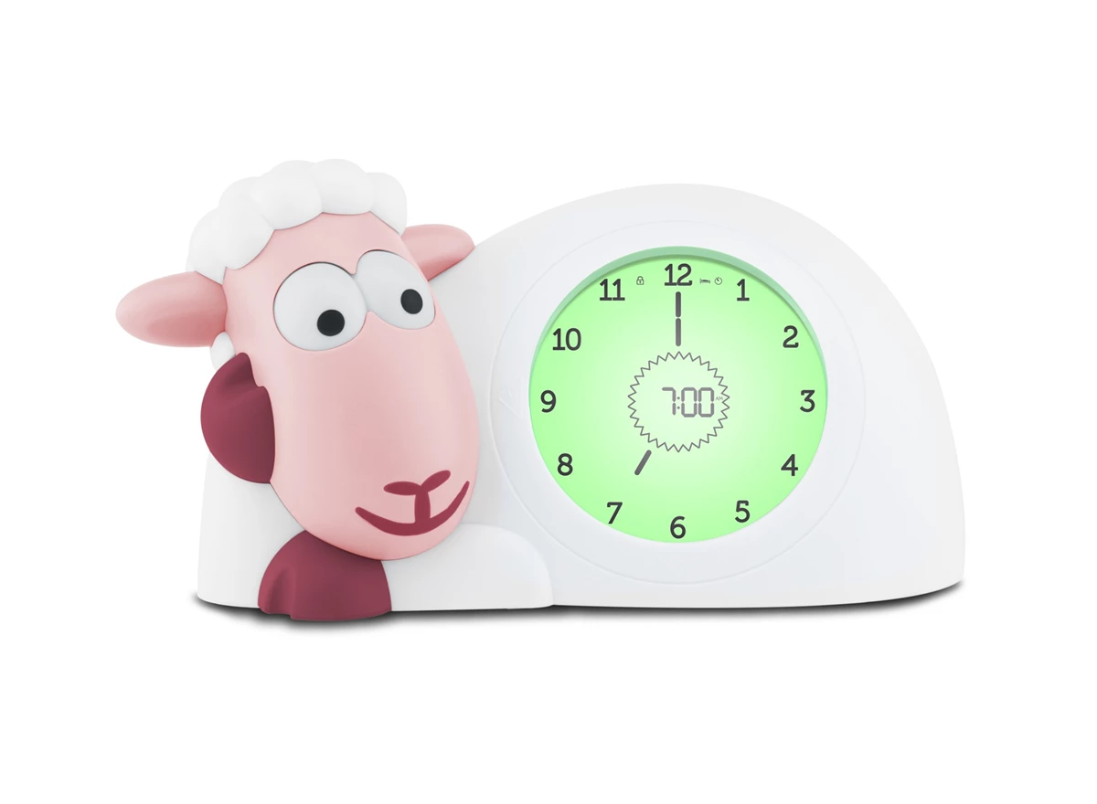 Slaaptrainer-schaap-Sam-Roze
