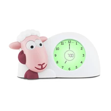 Slaaptrainer-schaap-Sam-Roze