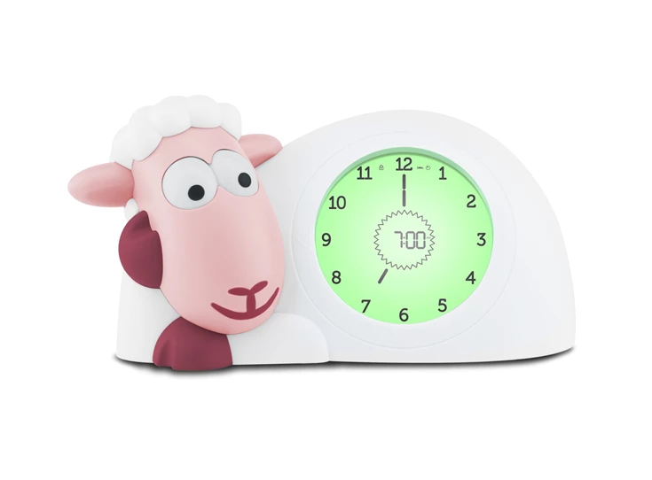 Slaaptrainer-schaap-Sam-Roze