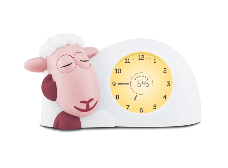 Slaaptrainer-schaap-Sam-Roze