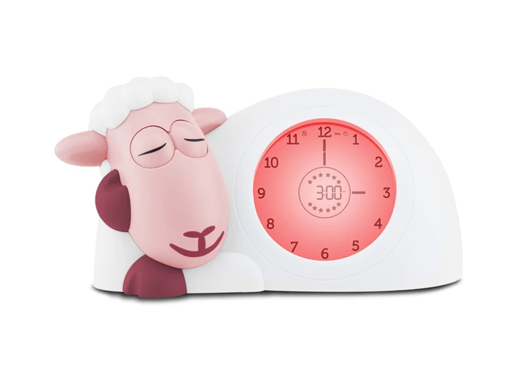 Slaaptrainer-schaap-Sam-Roze