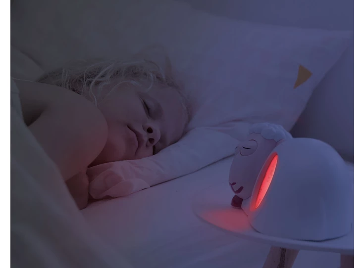 Slaaptrainer-schaap-Sam-Roze