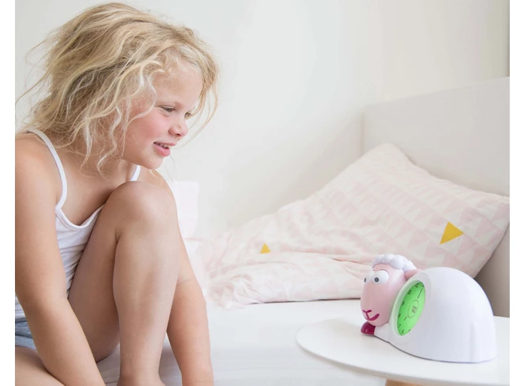 Slaaptrainer-schaap-Sam-Roze