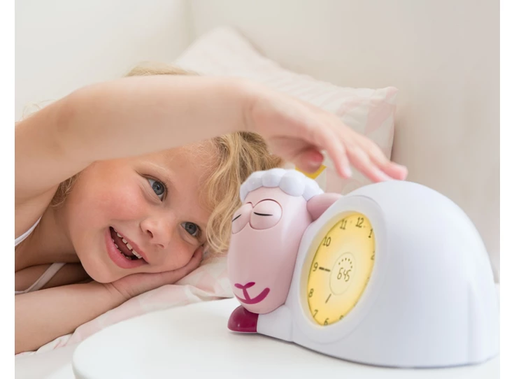 Slaaptrainer-schaap-Sam-Roze