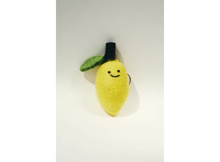 Sleutelhanger-Citroen