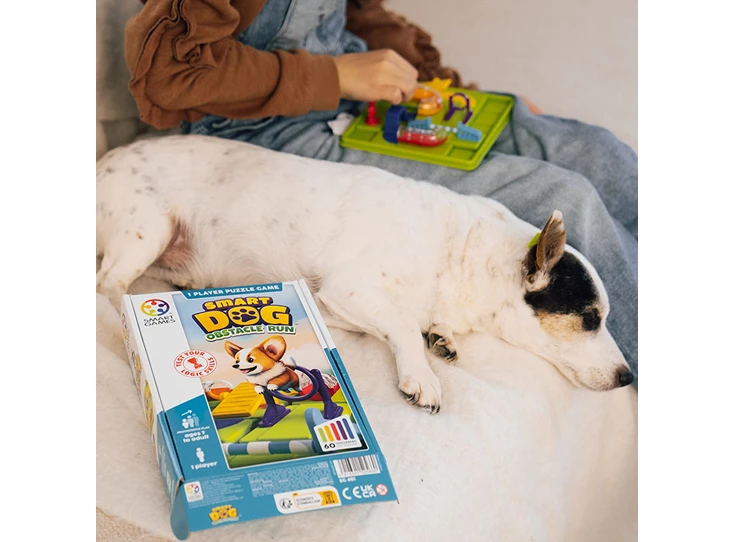 Smart-Dog-60-opdrachten-