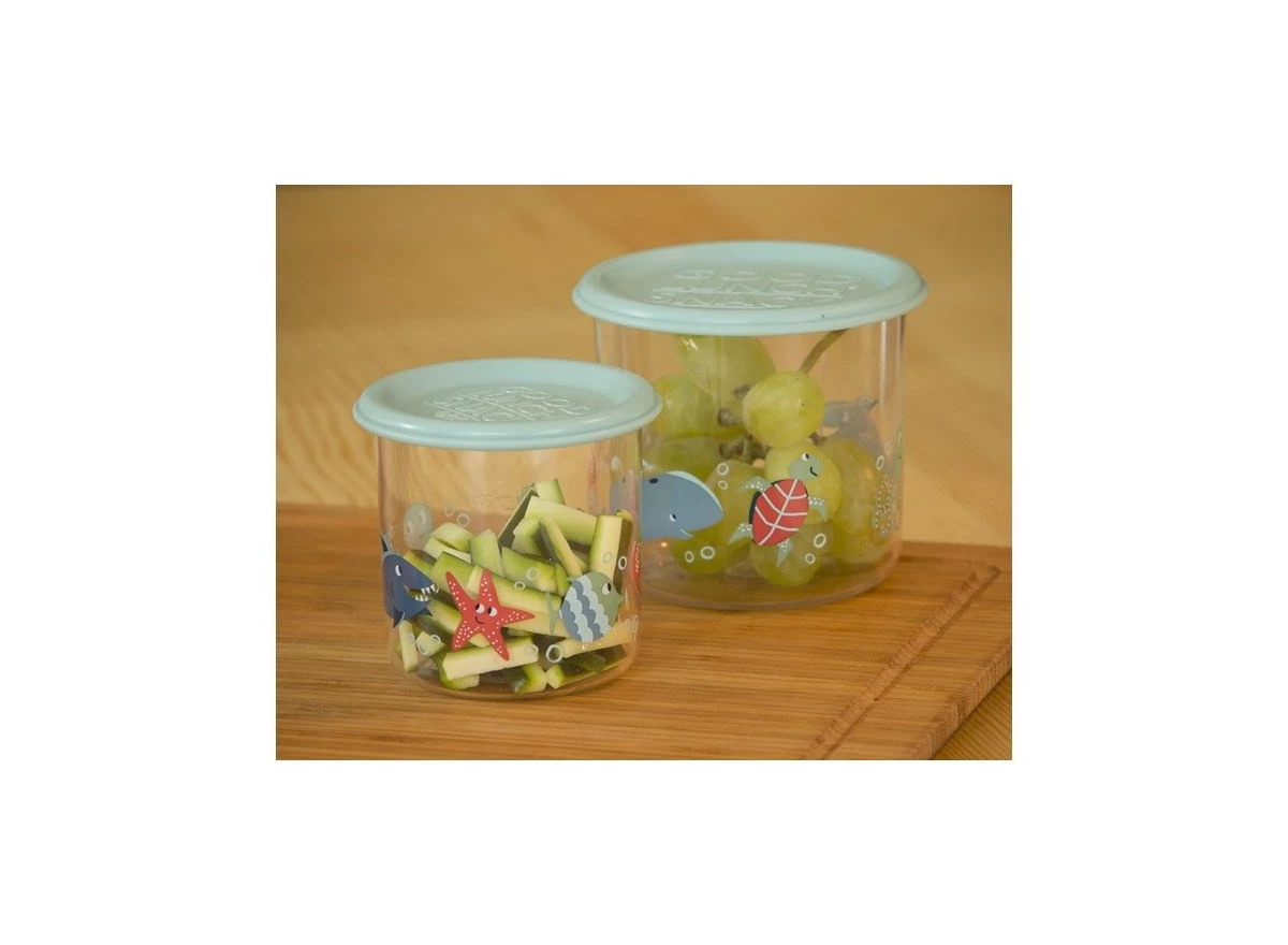 Snack-Container-set-of-2-LARGE-Ocean