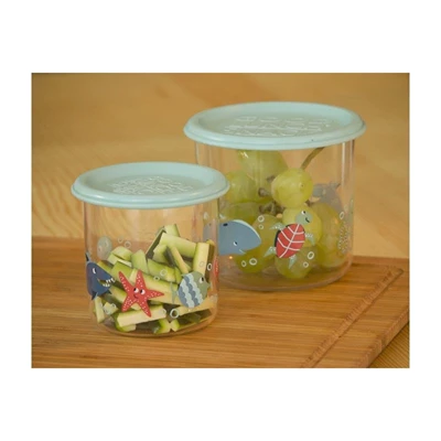 Snack-Container-set-of-2-LARGE-Ocean