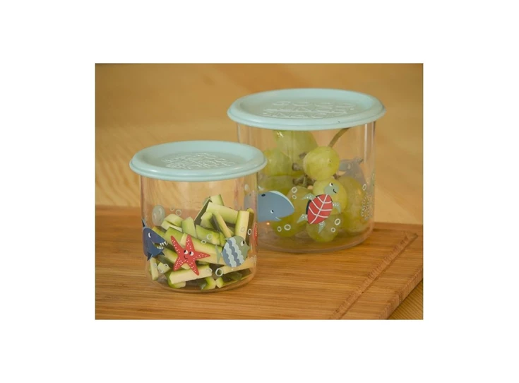 Snack-Container-set-of-2-LARGE-Ocean
