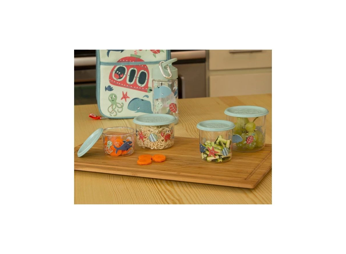 Snack-Container-set-of-2-LARGE-Ocean