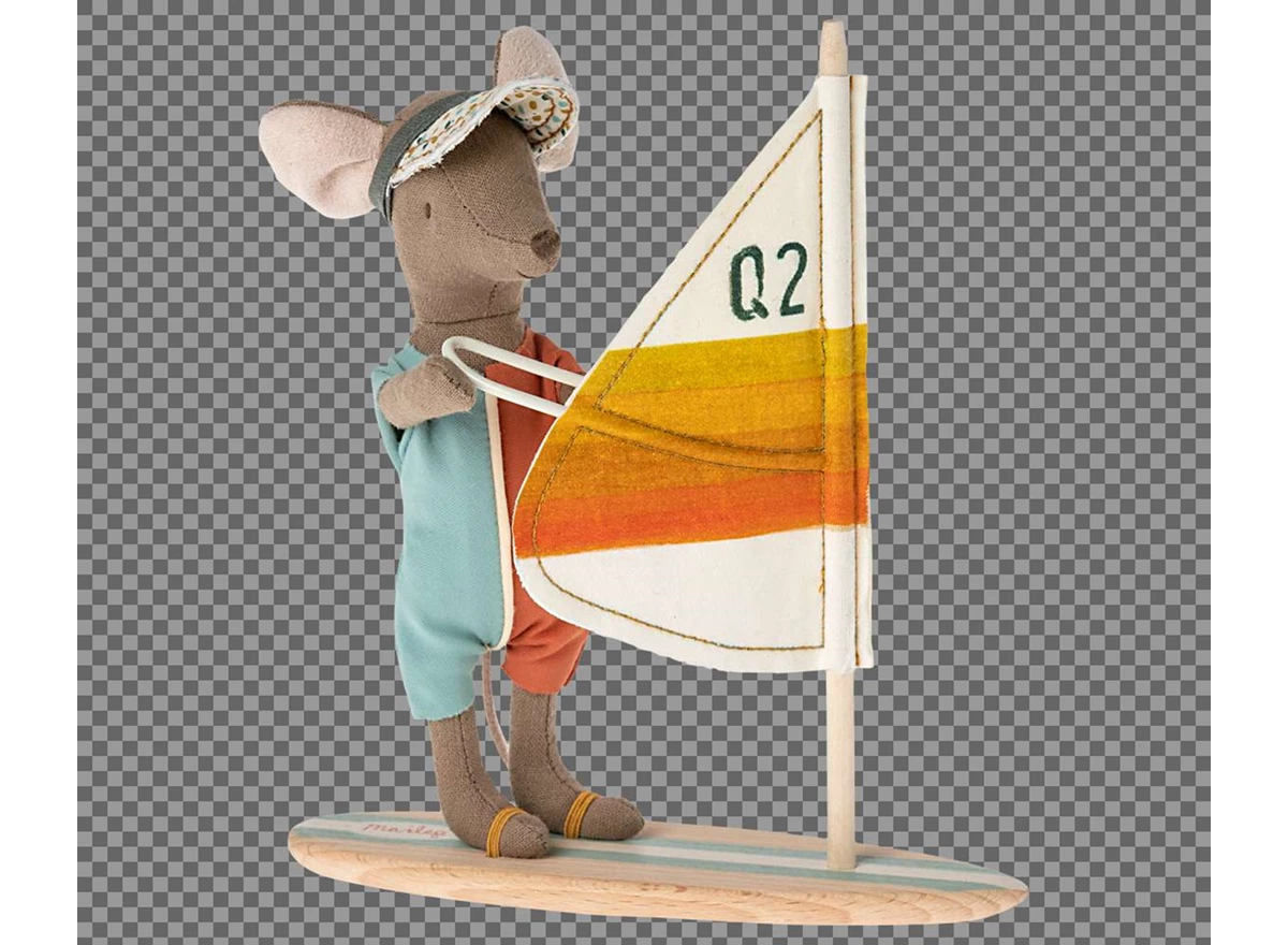 Strand-Muis-Surfer-Grote-Broer