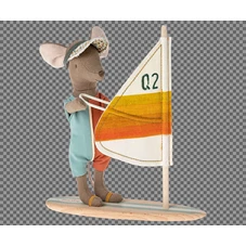Strand-Muis-Surfer-Grote-Broer