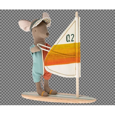 Strand-Muis-Surfer-Grote-Broer