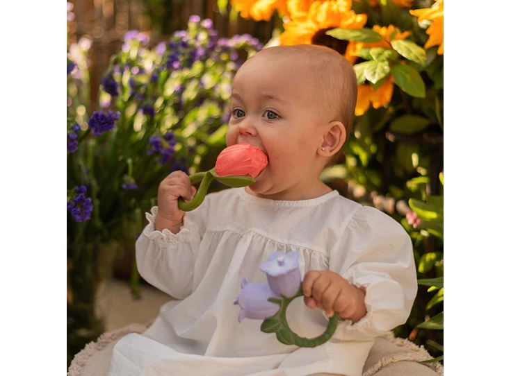 Theo-de-Tulp-Baby-Bijtring
