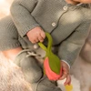 Theo-de-Tulp-Baby-Bijtring