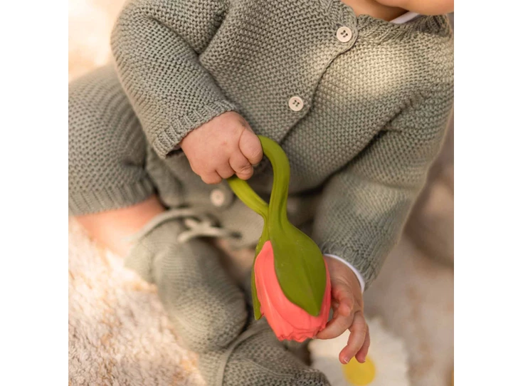 Theo-de-Tulp-Baby-Bijtring