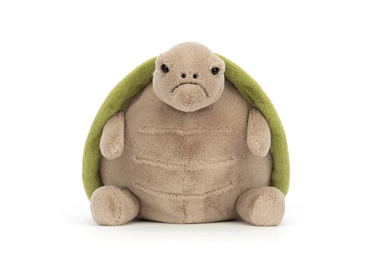 Timmy-Turtle