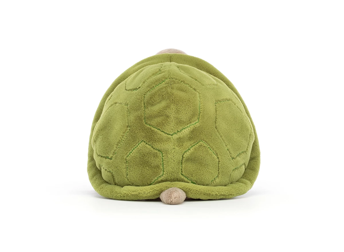 Timmy-Turtle