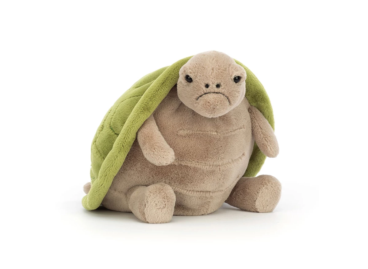 Timmy-Turtle