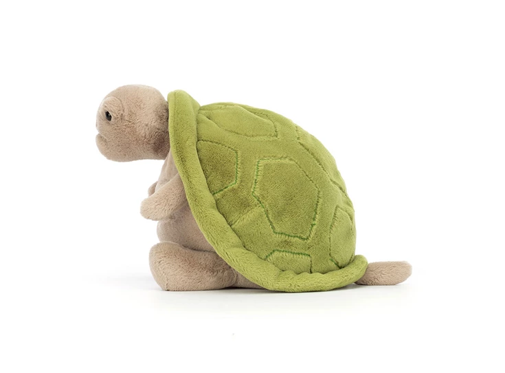 Timmy-Turtle