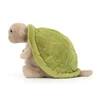 Timmy-Turtle-Big