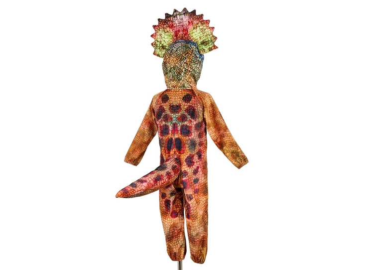 Triceratops-5-6-jaar-110-116-cm