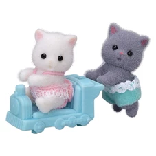 Tweeling-Perzische-Kat