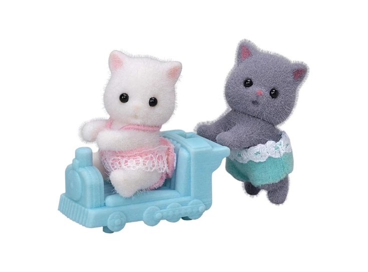 Tweeling-Perzische-Kat