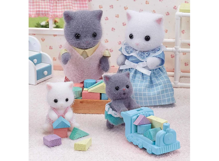 Tweeling-Perzische-Kat