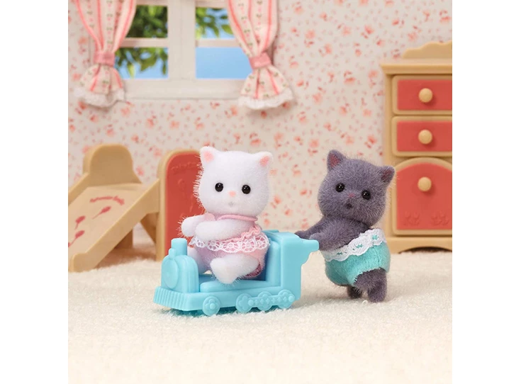 Tweeling-Perzische-Kat