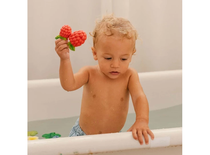 Valery-de-Framboos-Baby-Bijtring