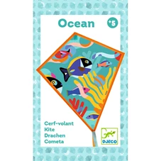 Vlieger-Oceaan