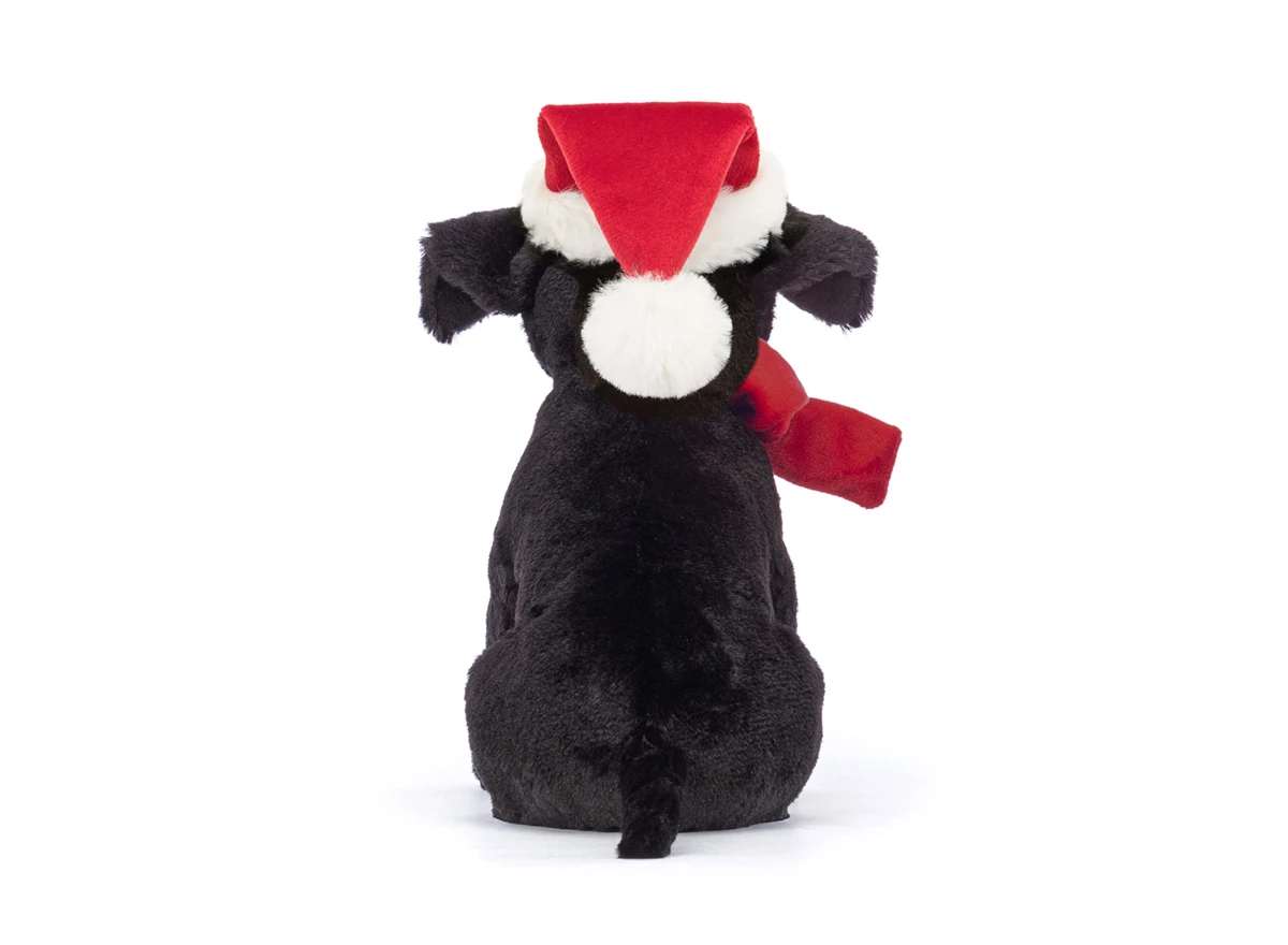 Winter-Warmer-Pippa-Black-Labrador