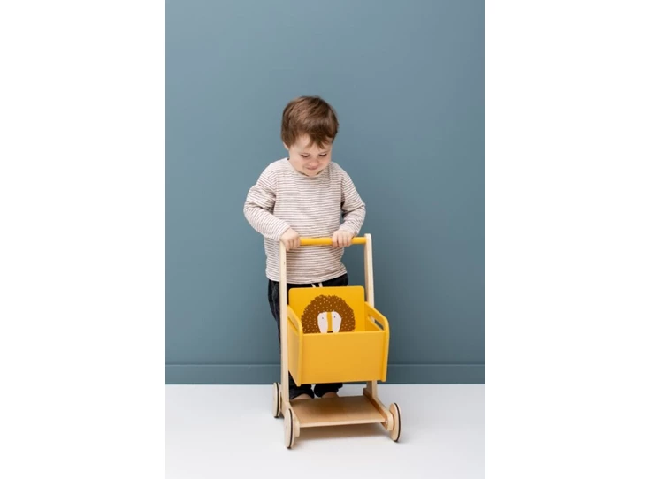 Wooden-shopping-cart-Mr-Lion